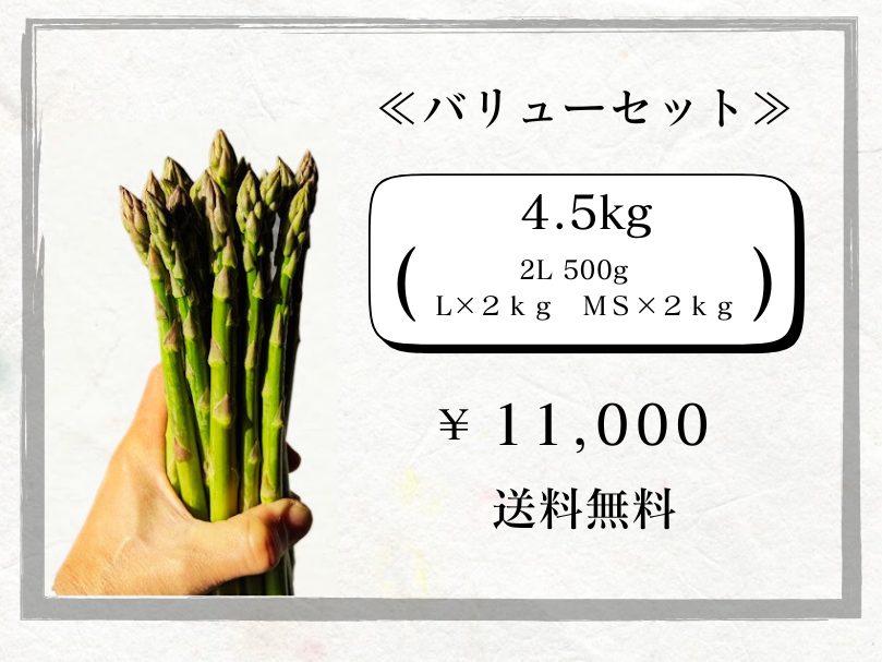 アスパラガスセット