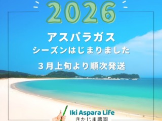 2026　壱岐産アスパラガス発送スタート