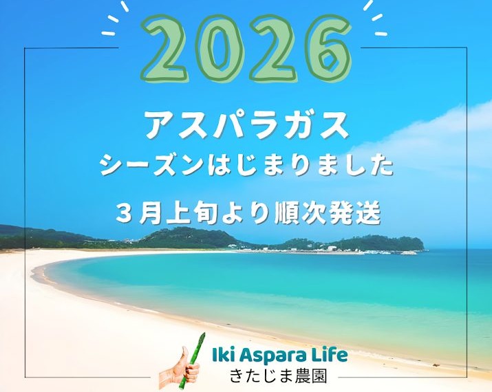 2026　壱岐産アスパラガス発送スタート